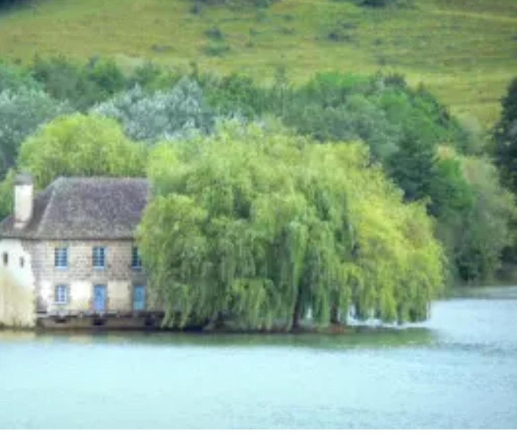 En Toute Quietude Lissac-sur-Couze Exterior photo